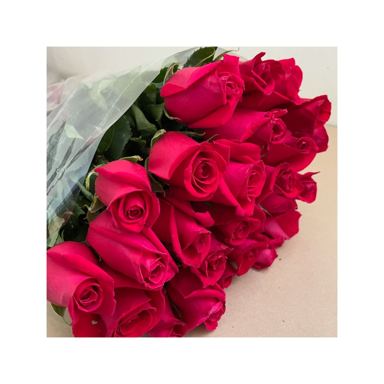 Rosas roja